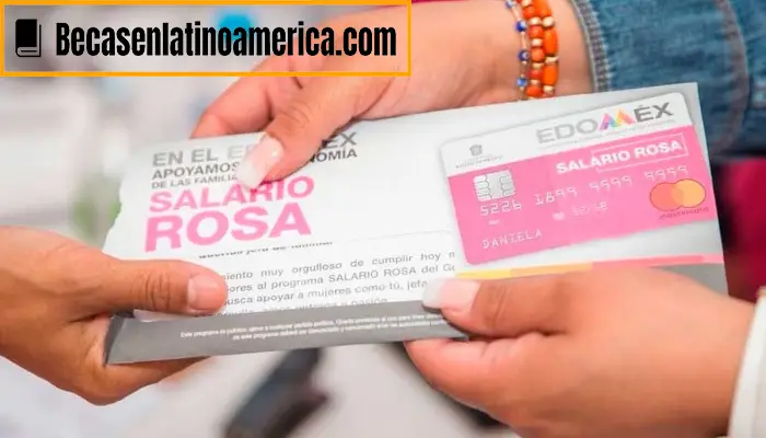 Programa Salario Rosa | ¡Obtén un apoyo económico de parte del Gobierno de México!